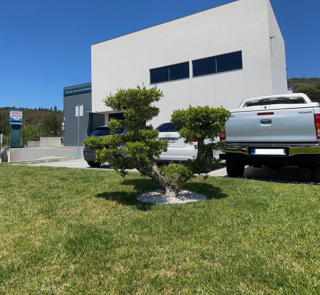 História da Empresa